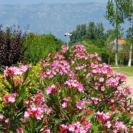 Nerium Garden Tirana Airport Rinas