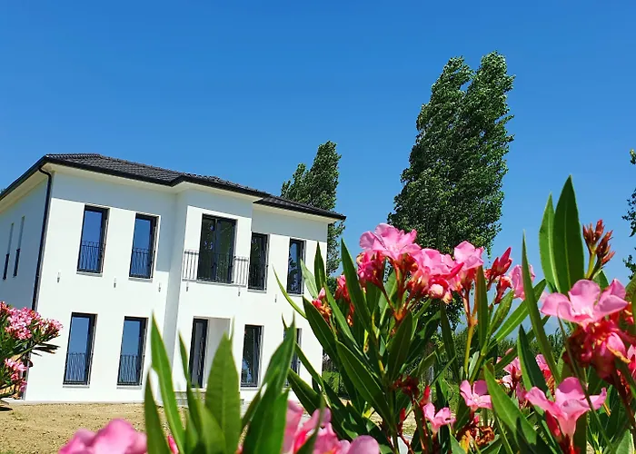Nerium Garden Tirana Airport 4* Rinas