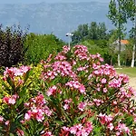 Nerium Garden Tirana Airport Rinas