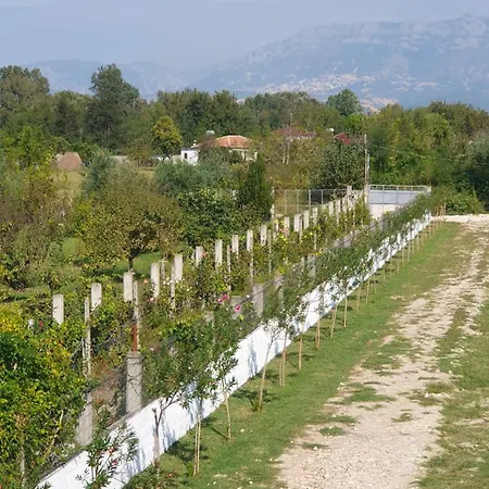 Nerium Garden Tirana Airport ホテル