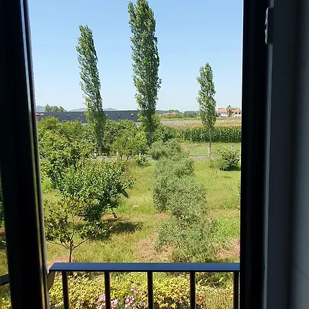 ホテル Nerium Garden Tirana Airport